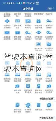 驾驶本查询,驾驶本查询网