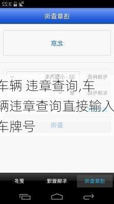 车辆 违章查询,车辆违章查询直接输入车牌号