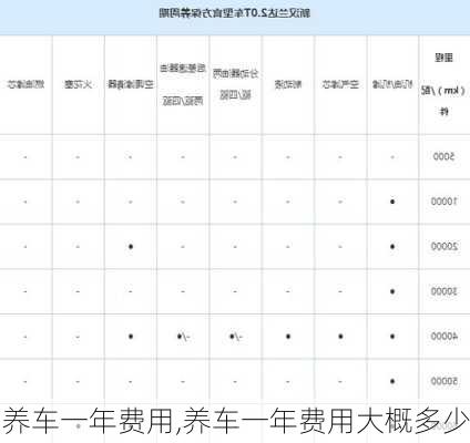 养车一年费用,养车一年费用大概多少