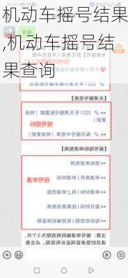 机动车摇号结果,机动车摇号结果查询