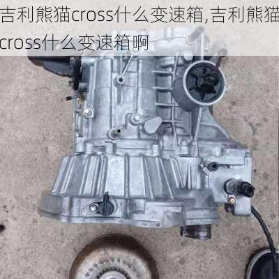 吉利熊猫cross什么变速箱,吉利熊猫cross什么变速箱啊