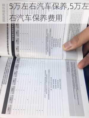 5万左右汽车保养,5万左右汽车保养费用