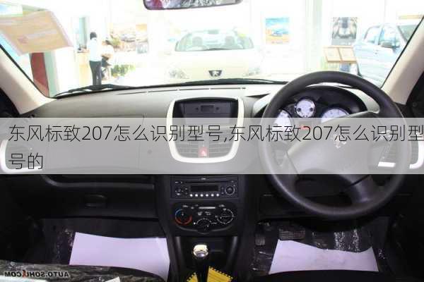 东风标致207怎么识别型号,东风标致207怎么识别型号的