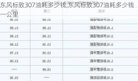 东风标致307油耗多少钱,东风标致307油耗多少钱一公里