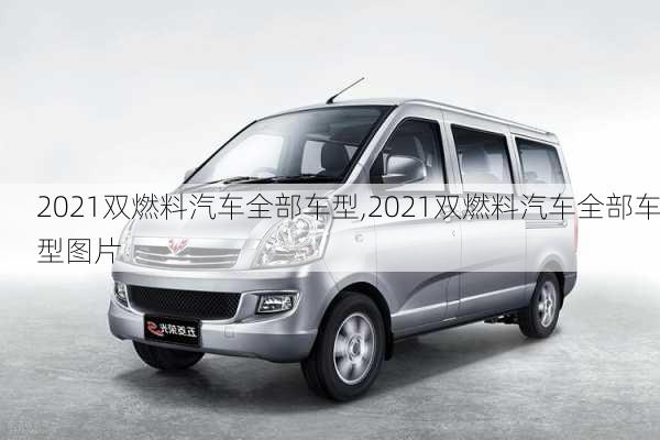 2021双燃料汽车全部车型,2021双燃料汽车全部车型图片