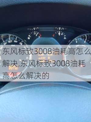 东风标致3008油耗高怎么解决,东风标致3008油耗高怎么解决的