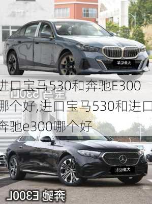 进口宝马530和奔驰E300哪个好,进口宝马530和进口奔驰e300哪个好