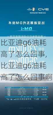 比亚迪g6油耗高了怎么回事,比亚迪g6油耗高了怎么回事啊