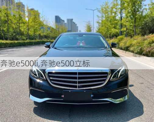 奔驰e500li,奔驰e500立标