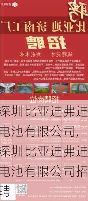 深圳比亚迪弗迪电池有限公司,深圳比亚迪弗迪电池有限公司招聘