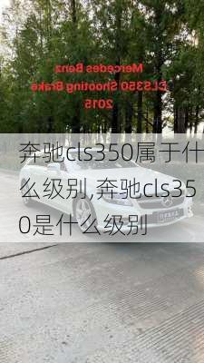 奔驰cls350属于什么级别,奔驰cls350是什么级别