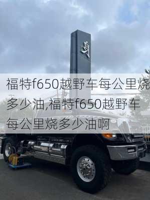 福特f650越野车每公里烧多少油,福特f650越野车每公里烧多少油啊