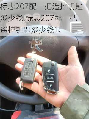 标志207配一把遥控钥匙多少钱,标志207配一把遥控钥匙多少钱啊