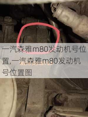 一汽森雅m80发动机号位置,一汽森雅m80发动机号位置图