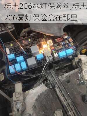 标志206雾灯保险丝,标志206雾灯保险盒在那里