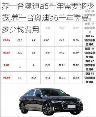 养一台奥迪a6一年需要多少钱,养一台奥迪a6一年需要多少钱费用