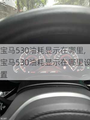 宝马530油耗显示在哪里,宝马530油耗显示在哪里设置