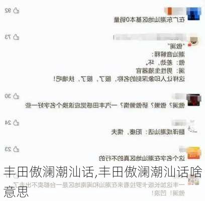 丰田傲澜潮汕话,丰田傲澜潮汕话啥意思