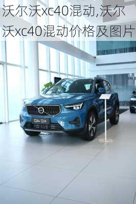 沃尔沃xc40混动,沃尔沃xc40混动价格及图片