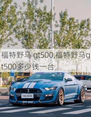 福特野马 gt500,福特野马gt500多少钱一台