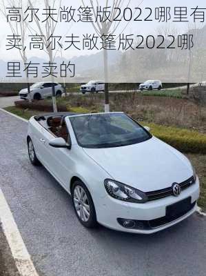 高尔夫敞篷版2022哪里有卖,高尔夫敞篷版2022哪里有卖的