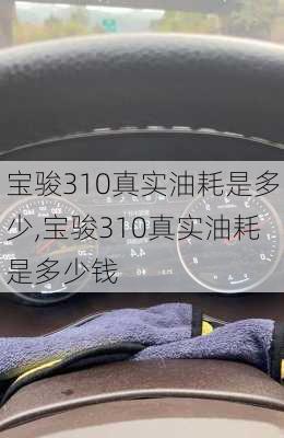 宝骏310真实油耗是多少,宝骏310真实油耗是多少钱