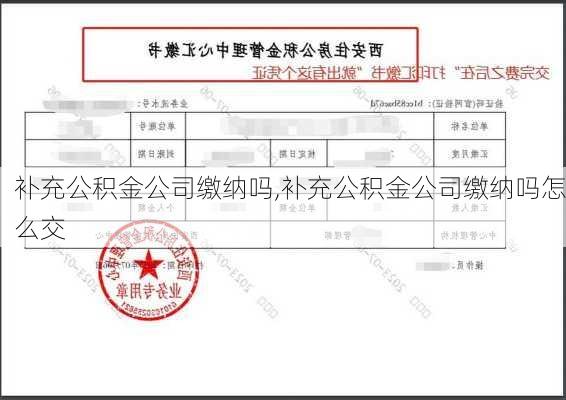 补充公积金公司缴纳吗,补充公积金公司缴纳吗怎么交