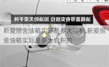 新爱丽舍油箱实际是多大容积,新爱丽舍油箱实际是多大容积的