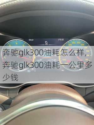 奔驰glk300油耗怎么样,奔驰glk300油耗一公里多少钱