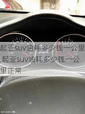 起亚suv油耗多少钱一公里,起亚suv油耗多少钱一公里正常