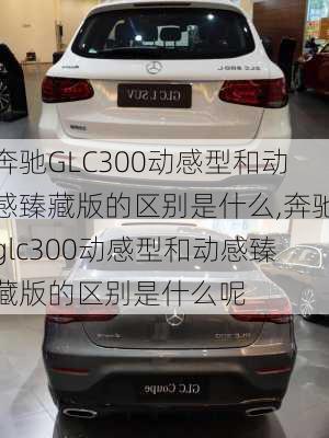 奔驰GLC300动感型和动感臻藏版的区别是什么,奔驰glc300动感型和动感臻藏版的区别是什么呢