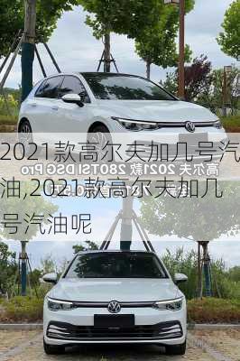 2021款高尔夫加几号汽油,2021款高尔夫加几号汽油呢