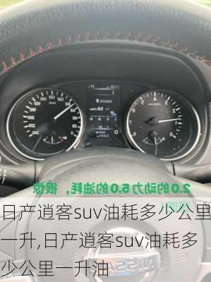 日产逍客suv油耗多少公里一升,日产逍客suv油耗多少公里一升油